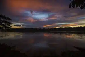 Sandoval & Parrot Clay lick 3 dias / 2 noches