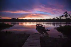 Eco Jungle Puerto Maldonado 2 days / 1 night